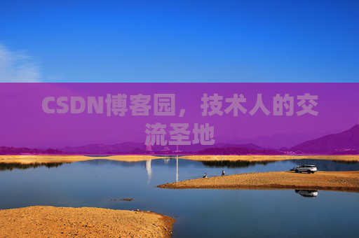 CSDN博客园，技术人的交流圣地